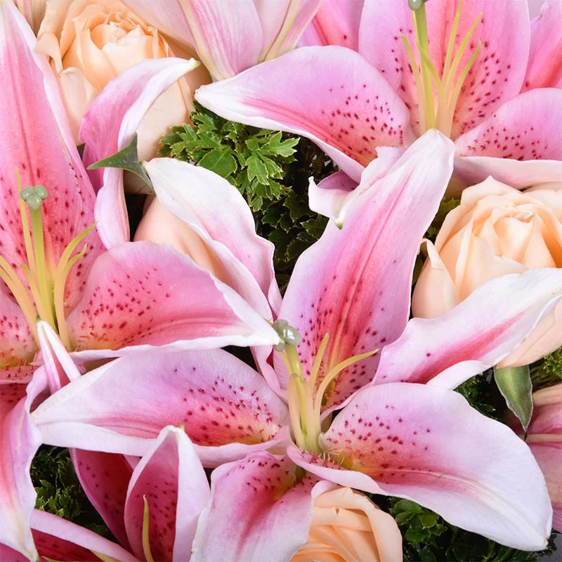 kembangku lily sendu di akhir april
